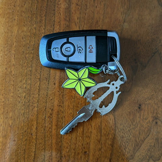 Key of Darkness + Destiny Fruit