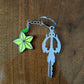 Key of Darkness + Destiny Fruit