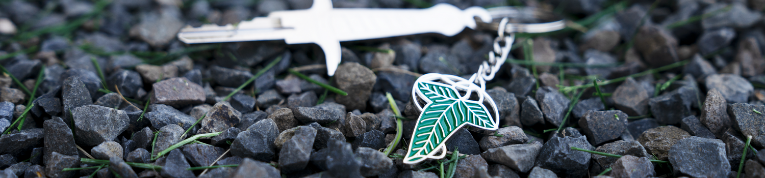 A silver house key and green leaf keychain on a pile of rocks