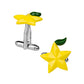 The Destiny Fruit (Cufflinks) POS